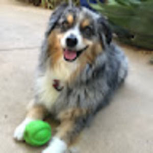 Meet your Posher, Joani